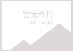 乌海紫山制造有限公司